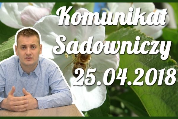 Komunikat sadowniczy nr 5 z dnia 25.04.2018 r.